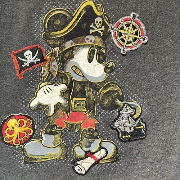 Unisex Gray Sleeveless Disneyland  Hoodie Medium - Picture 13 of 14